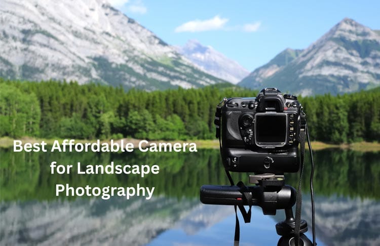 Best Affordable Camera for Landscape Photography in 2025