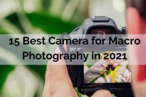 15-Best-Camera-for-Macro-Photography-in-2021