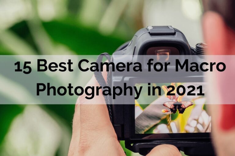 15-Best-Camera-for-Macro-Photography-in-2021