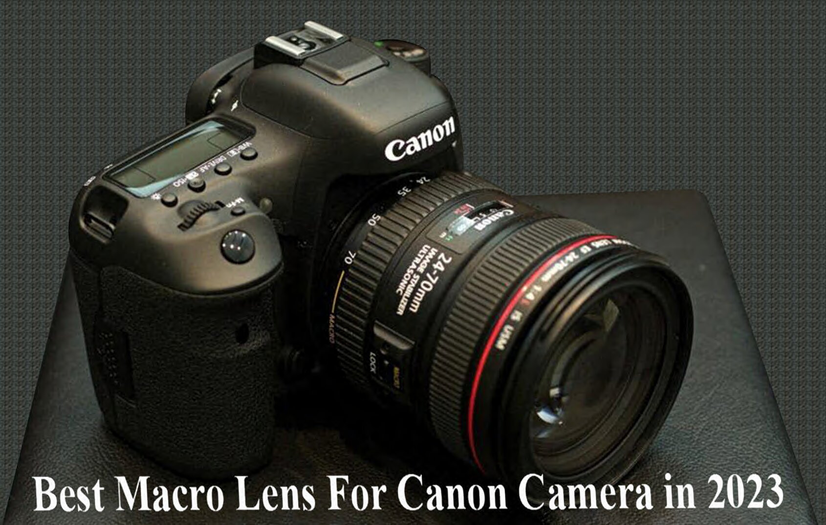 Best-Macro-Lens-For-Canon-Camera-1 (1)