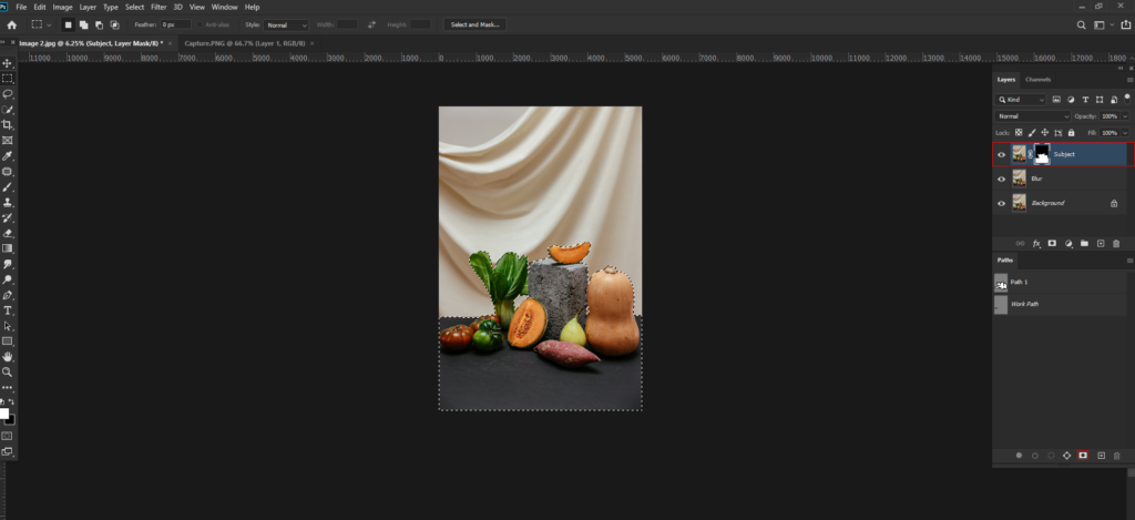 HOW TO BLUR BACKGROUND IN PHOTOSHOP