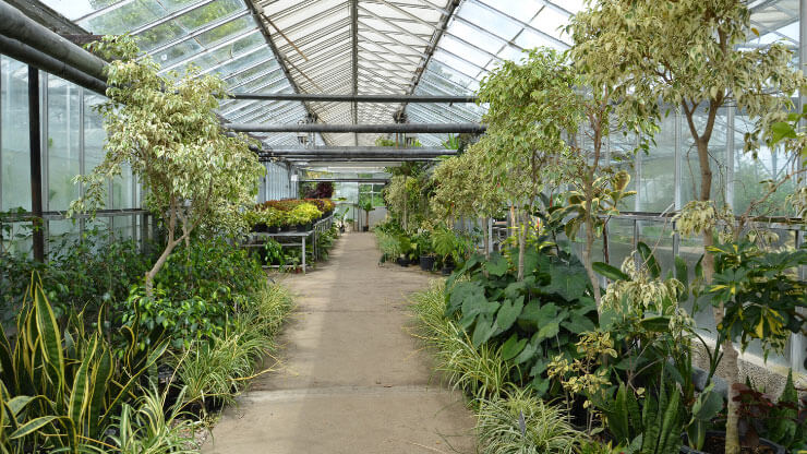 Indoor gardens or greenhouses