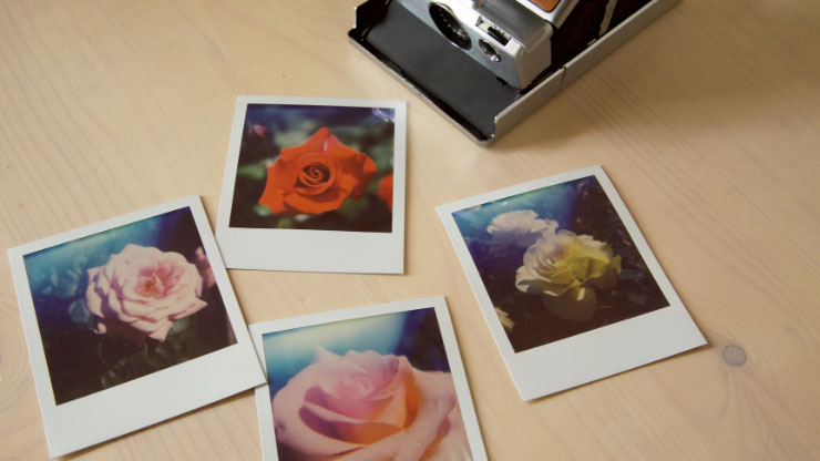 Polaroid Camera Photoshoot