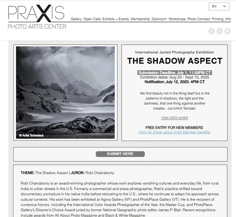 Praxis Gallery The Shadow Aspect