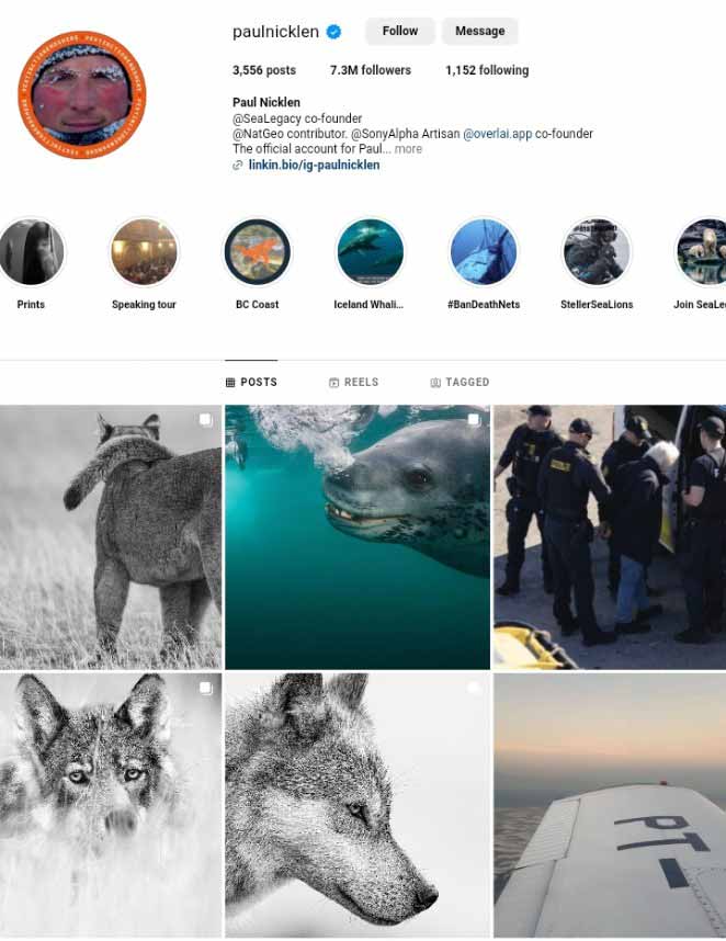 Paul Nicklen Instagram influencer photographer