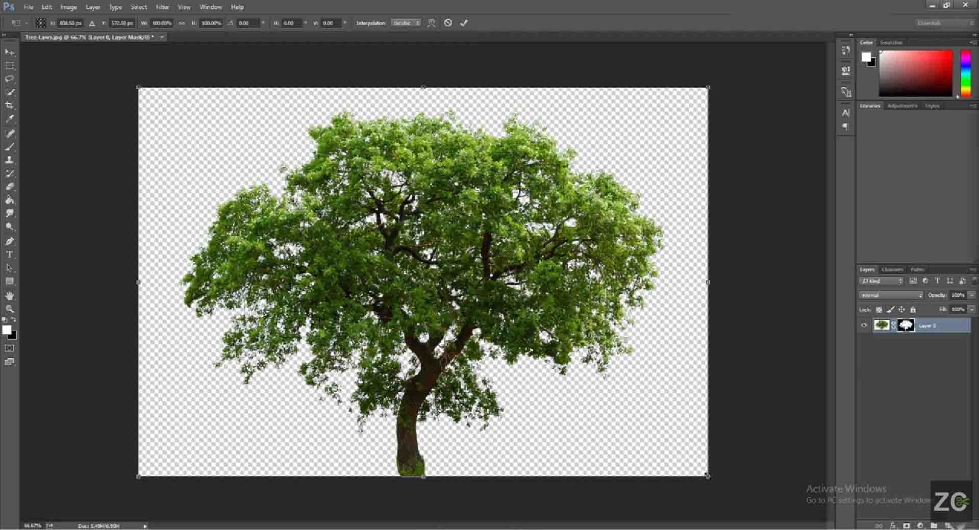 Draw the background with a brush tool