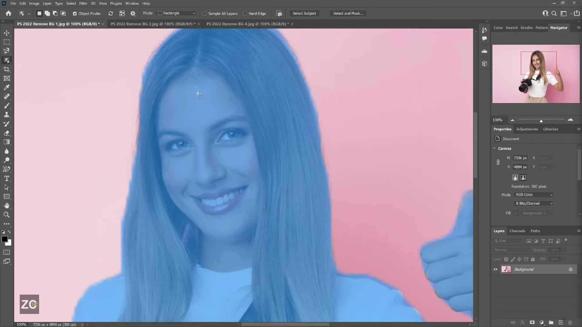 Photoshop AI feature