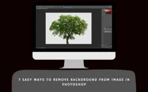 Remove Background from Image in Photoshop
