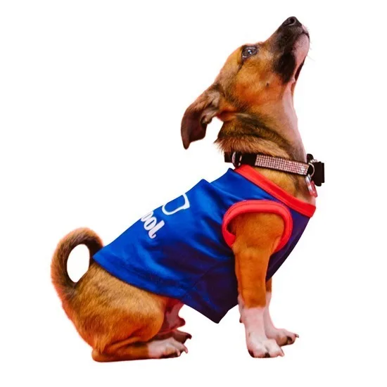 Image Masking Service