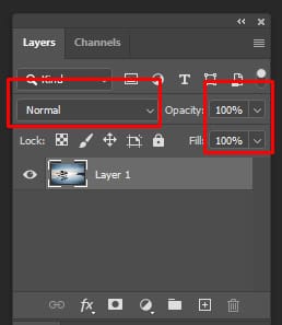 Duplicate the Background Layer (2)