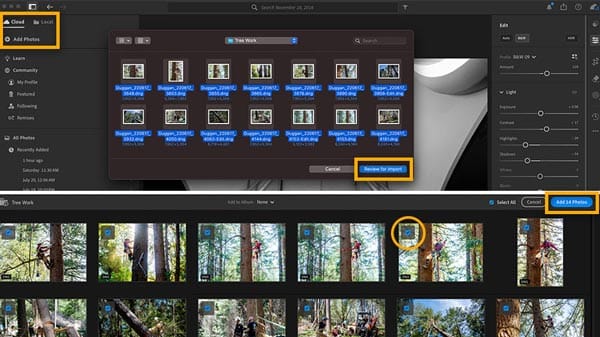 Importing and Organizing Your Photos