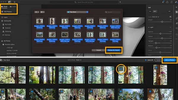 Importing and Organizing Your Photos