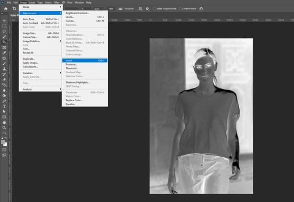 Removing Noise from Scanned Photos Invert the Image