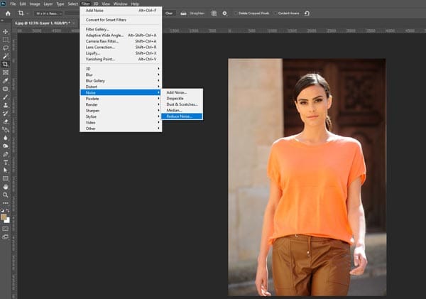 Removing Noise from Scanned Photos REDUCE NOISE