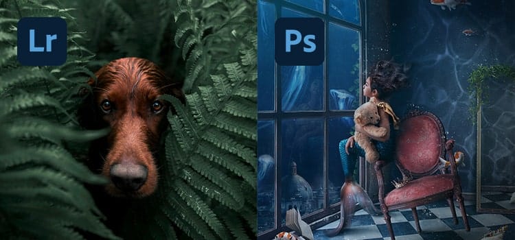 Retouching Capabilities Compared