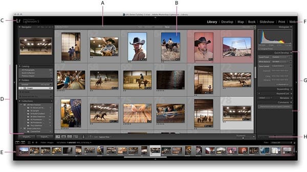 Understanding the Lightroom Interface