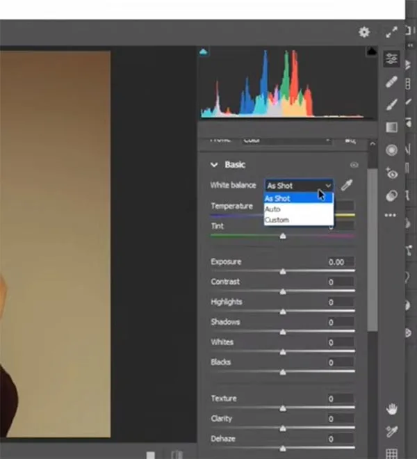 Color Calibration and White Balance Tips