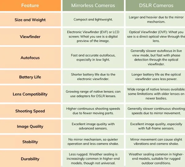 DSLR and Mirrorless Image Quality Comparison