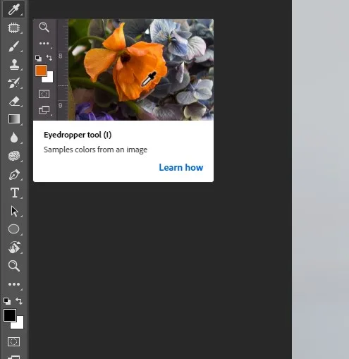 Eyedropper tool