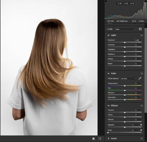 Highlight the Focus on the Hair