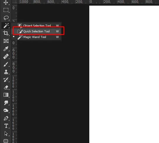 Quick Selection Tool