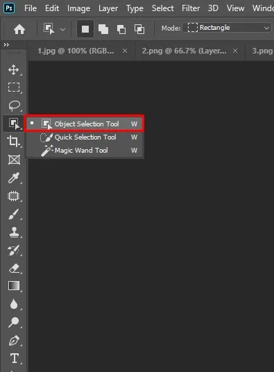 Select the Quick Selection Tool