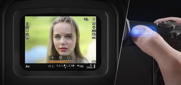 dslr and mirrorless camera Viewfinder Types Optical vs. Electronic