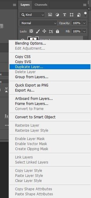 duplicate layer
